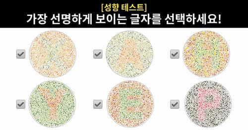 [성향 테스트] 가장 선명하게 보이는 글자를 선택하세요!