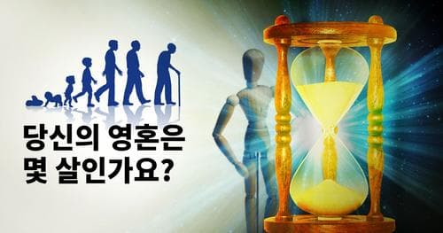 당신의 영혼은 몇 살인가요?