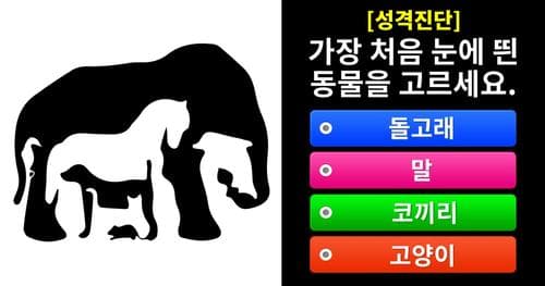 [성격진단] 가장 처음 눈에 띈 동물을 고르세요.