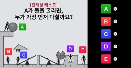 [천재성 테스트] 당신은 어떤 유형의 천재인가요?