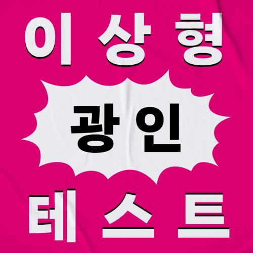 이상형 광인 테스트