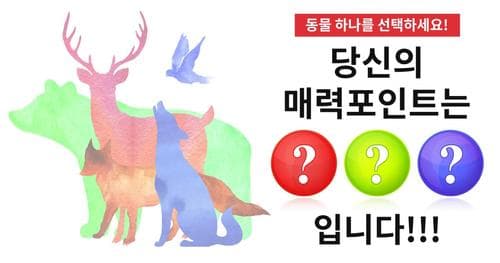 매력테스트! 가장 먼저 눈에 띄는 동물은 무엇인가요?