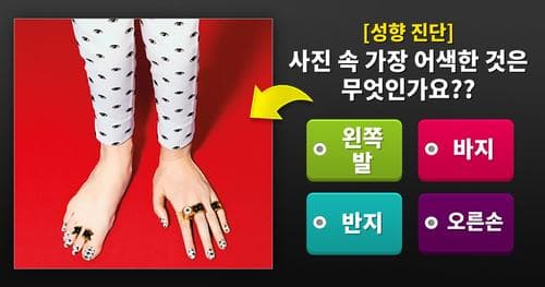 [성향 진단] 사진 속 가장 어색한 것은 무엇인가요??