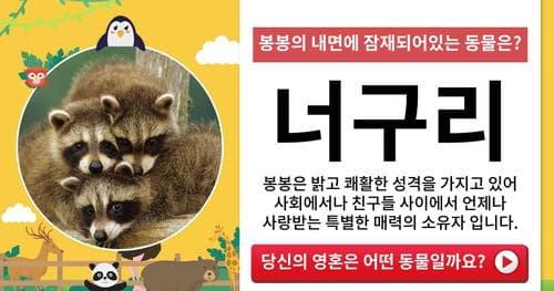당신의 영혼은 어떤 동물일까요?