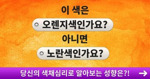 색채심리로 알아보는 숨겨진 성향테스트
