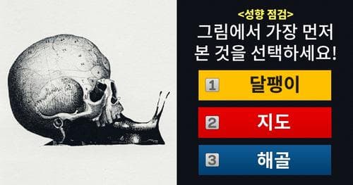 [성향 점검] 당신이 가장 먼저 본 것을 선택하세요!