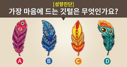 [성향진단] 가장 마음에 드는 깃털은?
