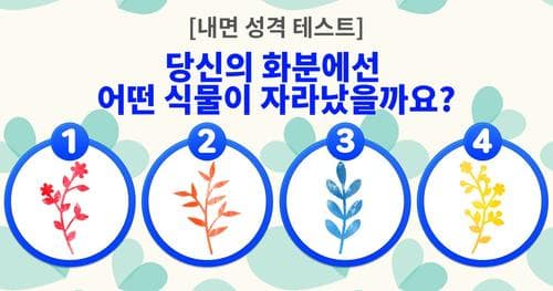 식물을 고르세요! 당신 내면의 성격이 보입니다.