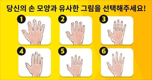 [성격진단] 당신의 손모양으로 보는 운세는?!