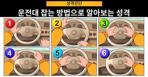 [성격진단] 운전대 잡는 방법으로 알아보는 성격