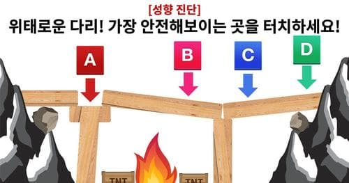 [성향 진단] 위태로운 다리! 과연 어디가 가장 안전할까요??