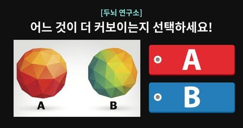 [두뇌연구소] 좌뇌형? 우뇌형? 당신의 두뇌 타입을 확인하세요!