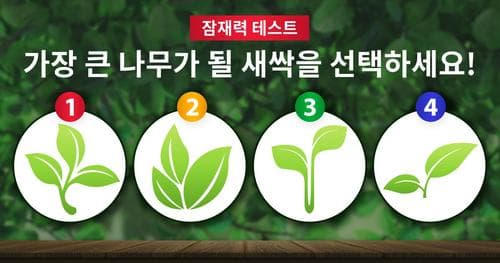 어떤 새싹이 자라서 가장 큰 나무가 될까요?
