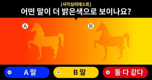 [시각심리테스트] 어떤 말이 더 밝은색으로 보이나요?