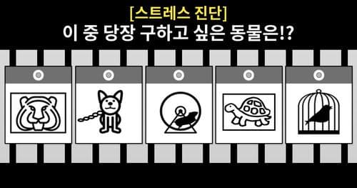 [스트레스 진단] 당신이 당장 구하고 싶은 동물은!?